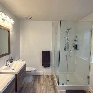 Bathtub to Walk-In Shower Conversion in Vancouver | Modern Makeovers